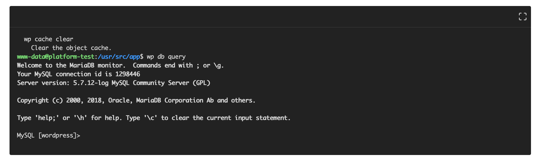 Screenshot showing the MySQL client session started with WP CLI